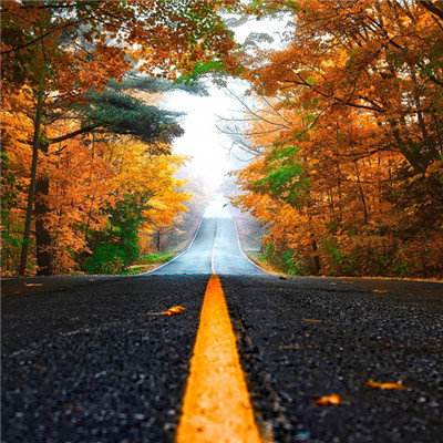 管家婆期期四肖四码中特管家app下载