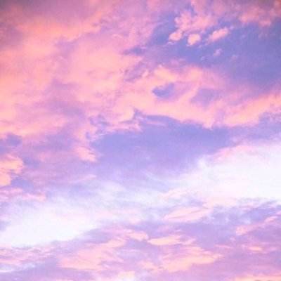 足球赌注软件手机app下载